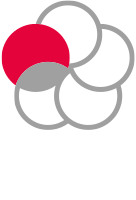 Japan Content Token